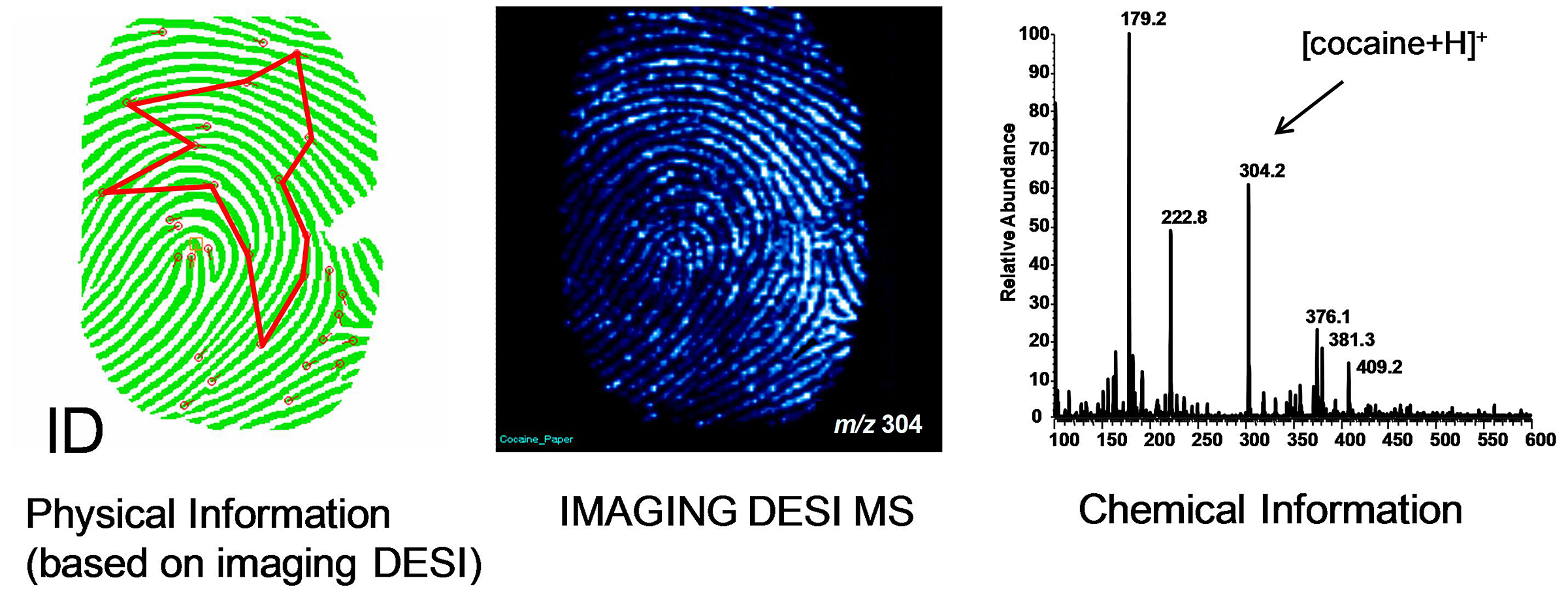 http://news.uns.purdue.edu/images/+2008/cooks-fingerprint.jpg