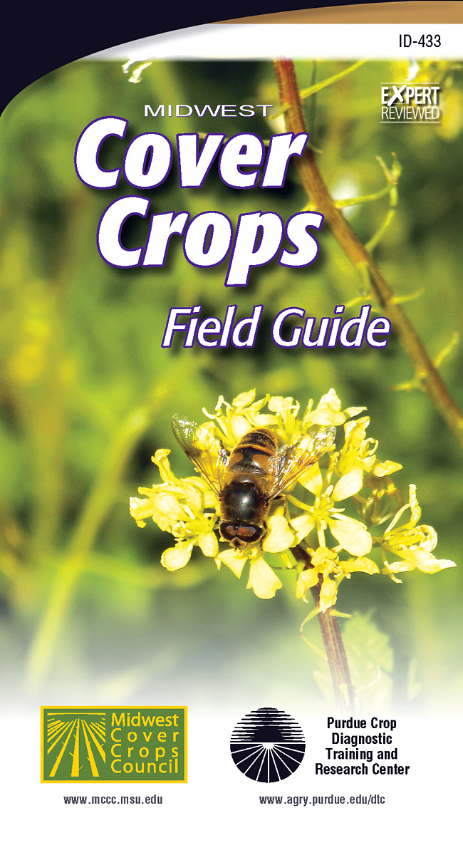 New field guide helps farmers choose, manage cover crops