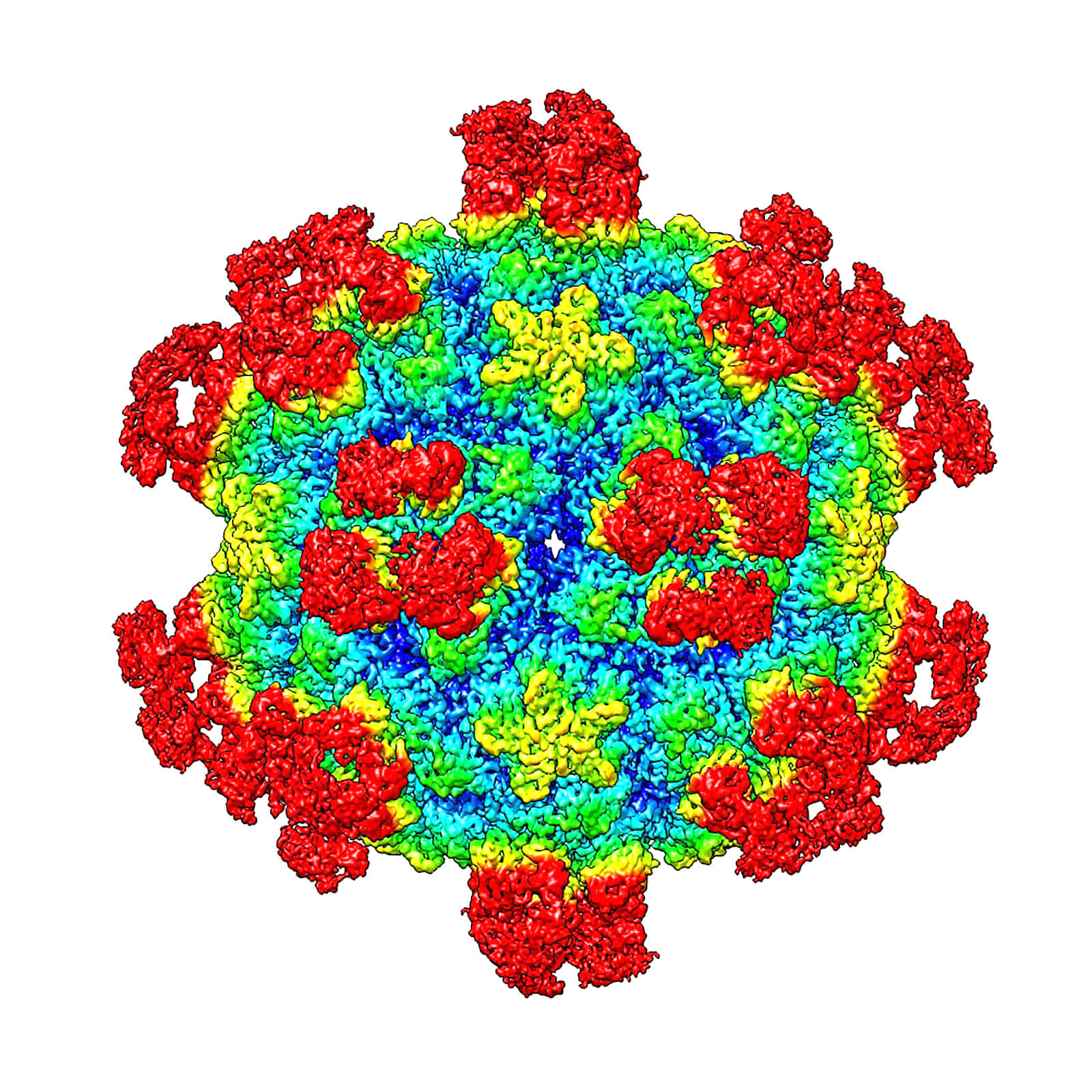 New mechanism to destroy viruses could lead to future therapies - Purdue University News
